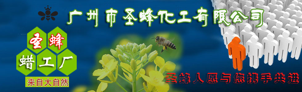 ʥ仯޹˾