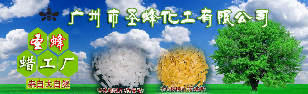 ʥ仯޹˾